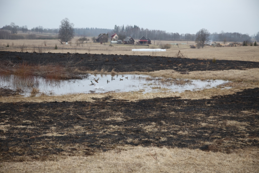 Autors: Gatis Bogdanovs