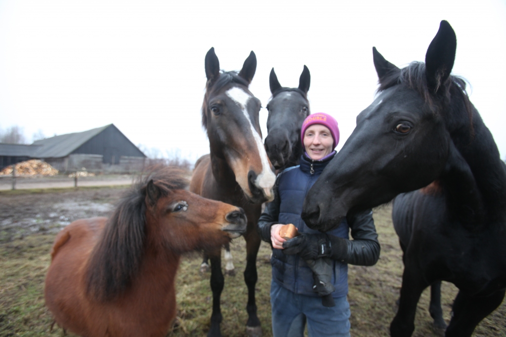 Autors: Gatis Bogdanovs