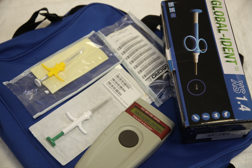 Gulbenes veterinārārsti ir ir apbruņojušies ar vajadzīgo aprīkojumu, lai čipētu suņus un lai nolasītu informāciju no dzīvniekiem, kuri jau ir saņēmuši čipu. 	
Autors: Gatis Bogdanovs