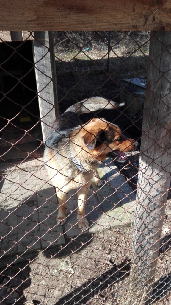 Autors: no personiskā arhīva