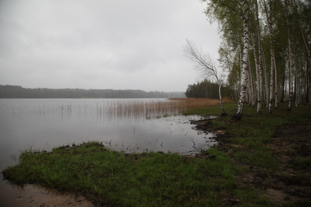 Puse Sudala ezera atrodas Gulbenes un puse - Alūksnes novadā. 
Autors: Gatis Bogdanovs