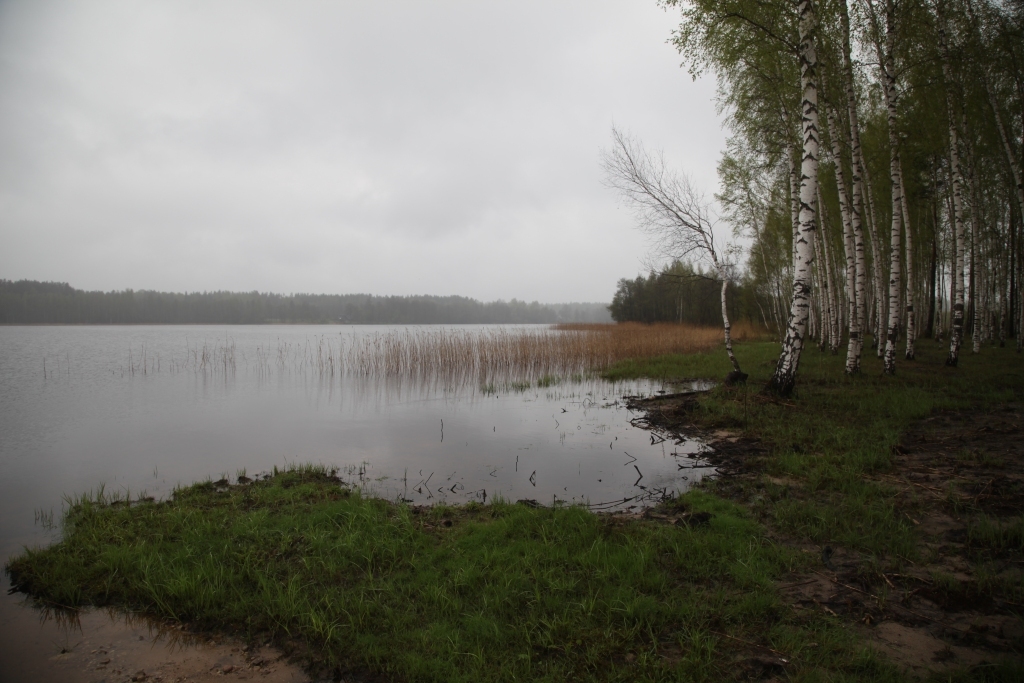 Puse Sudala ezera atrodas Gulbenes un puse - Alūksnes novadā. 
Autors: Gatis Bogdanovs