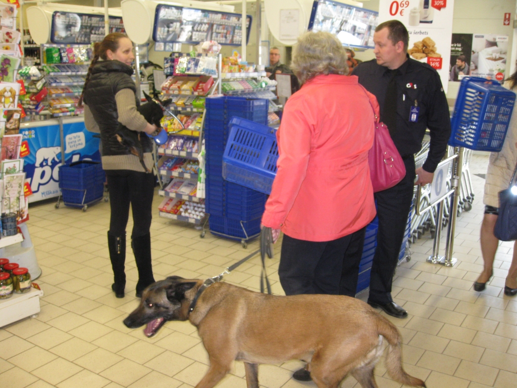 Kad veikala apsargs tika konfrontēts ar abām suņu saimniecēm, viņš atzina: “Veikalā nedrīkst ievest nevienu suni.” Tātad ne lielu, ne mazu. Aizrādījumu par neatļautu fotografēšanu veikalā saņēma arī “Dzirkstele”, taču paskaidrojām, ka šis bija tikai eksperiments un apsarga modrība ir vērtējama pozitīvi.   
Autors: Diāna Odumiņa