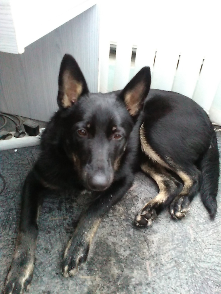 Autors: no personiskā arhīva