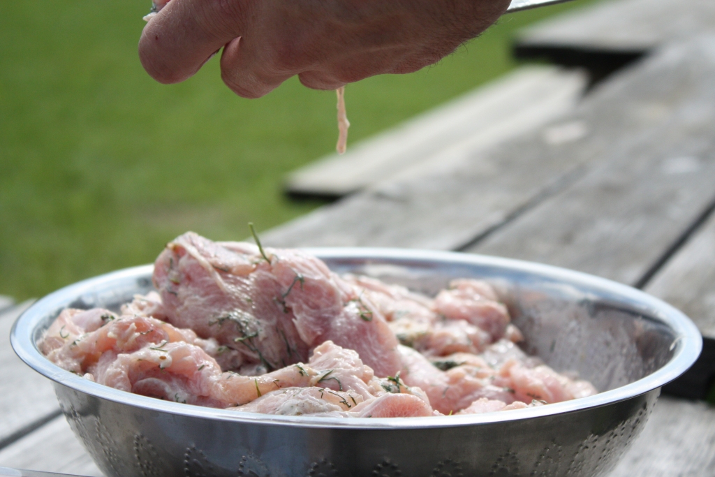 «Lai cik tīra svaiga gaļa arī neizskatītos, tā biezā slānī ir nosēta ar mikroorganismiem. Pietiek ar 500 kampilobaktēriju šūnām, lai cilvēks inficētos, salīdzinājumam – uz adatas gala var uzlikt veselu miljonu,» stāsta  LLU Veterinārmedicīnas fakultātes pētnieks Kaspars Kovaļenko.
Autors: Gatis Bogdanovs