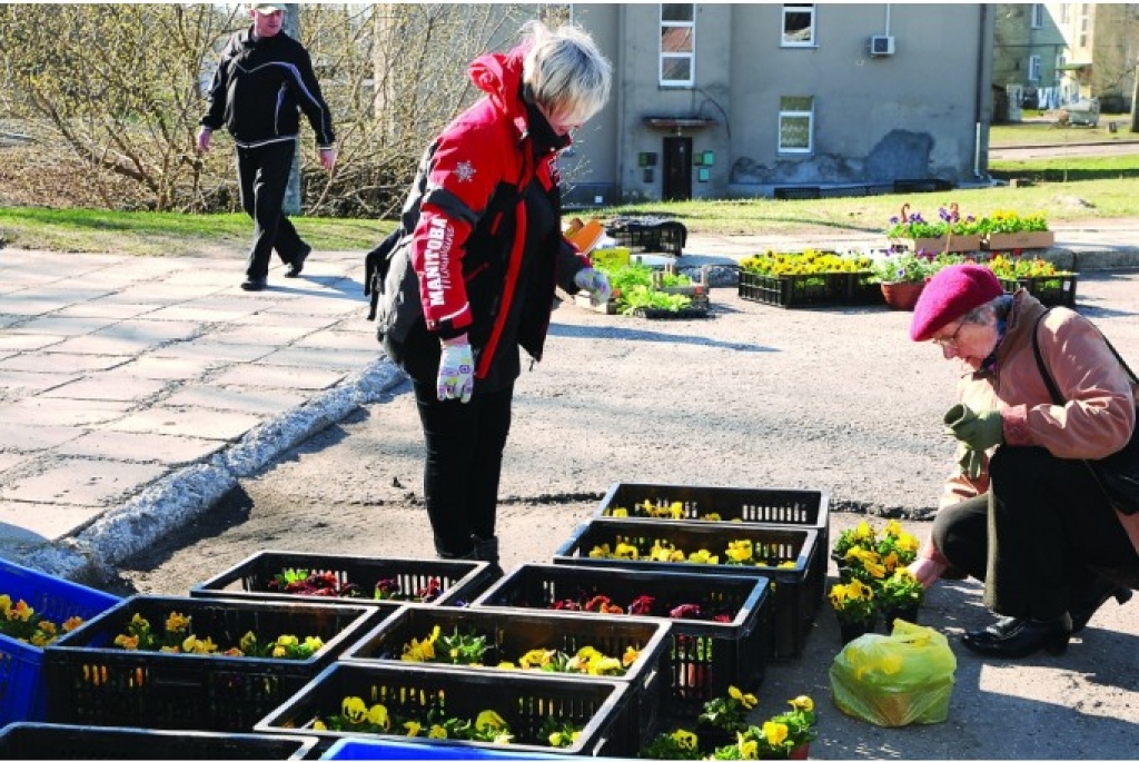 Aluksniesiem.lv raksta attēla aizvietotājs