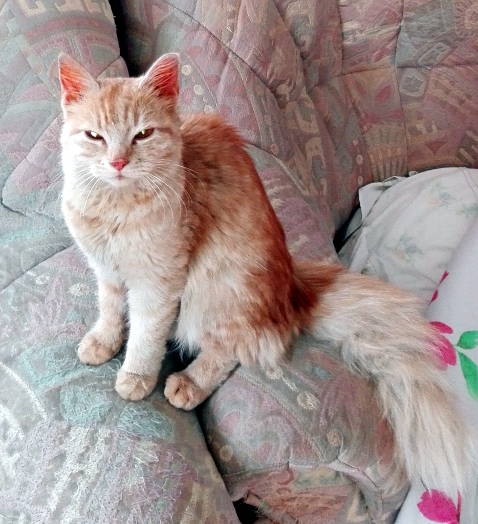 Autors: no personiskā arhīva