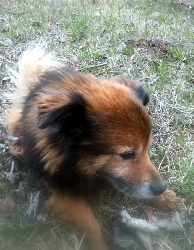 Autors: no personiskā arhīva