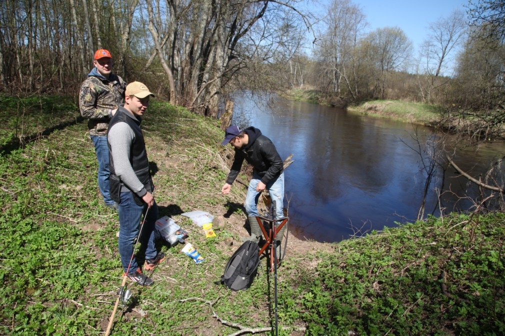 Autors: Gatis Bogdanovs