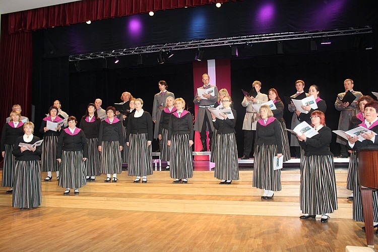 Lizuma jauktais koris iegūst 1. pakāpes diplomu.
Autors: www.gulbene.lv
