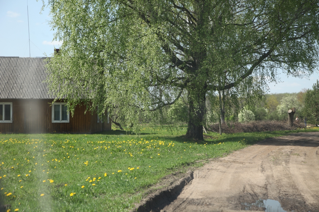 Pašdarbība elektrības izmantošanā var slikti beigties brīdī, kad cilvēks to gaida vismazāk. Elektrības vads ar spuldzi, kas lietots āra apgaismojumam pie ūdens kubula, laupīja divu cilvēku dzīvības. 
Autors: Gatis Bogdanovs