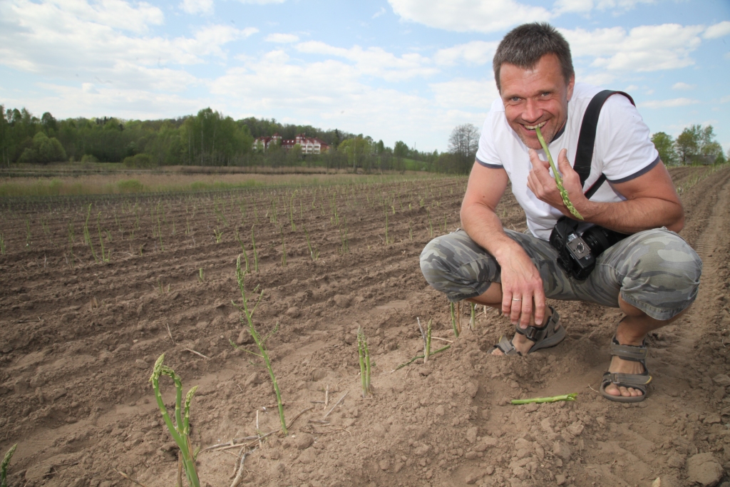 Arī Latvijā pamazām arvien populārāki kļūst sparģeļi. Cilvēki tos sāk iekļaut savā uzturā, jo tas ir ļoti vērtīgs un veselīgs dārzenis. Šis pavasara dārzenis tiek audzēts arī tepat mūsu novadā – Kalnienā un ir atpazīstams ar preču zīmi “Kalnienas sparģelis”. Sparģeļu audzēšanai Kalnienā ir pievērsies Dvaits Spuriņš. 	
Autors: Gatis Bogdanovs