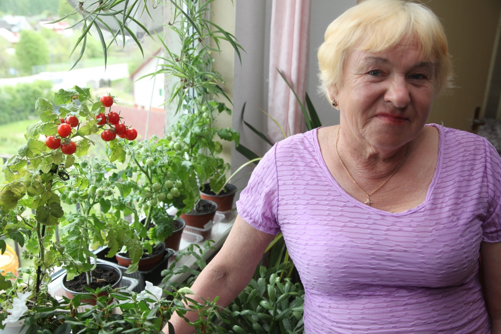 Maija vidus ir laiks, kad tomātu stādus dēsta neapkurināmās siltumnīcās. Bet gulbenietes Ilgas Zubovas dzīvoklī jau nogatavojušies sārti pirmie ķiršu tomāti. 	
Autors: Gatis Bogdanovs