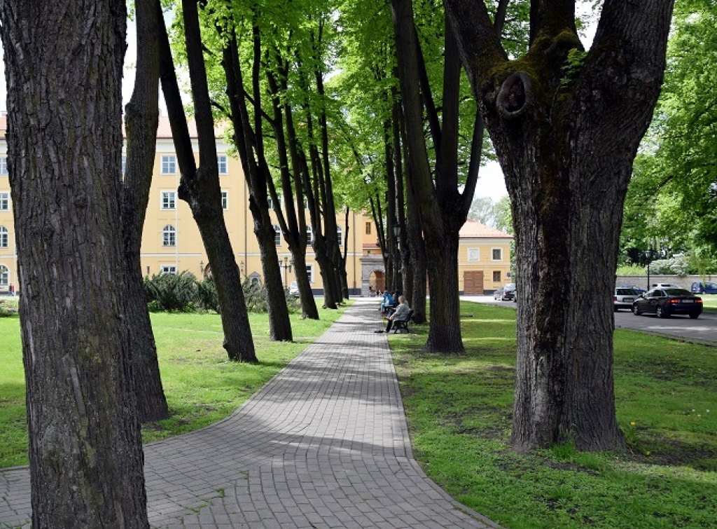 Aluksniesiem.lv raksta attēla aizvietotājs