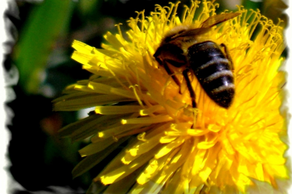 Autors: ilustratīvs