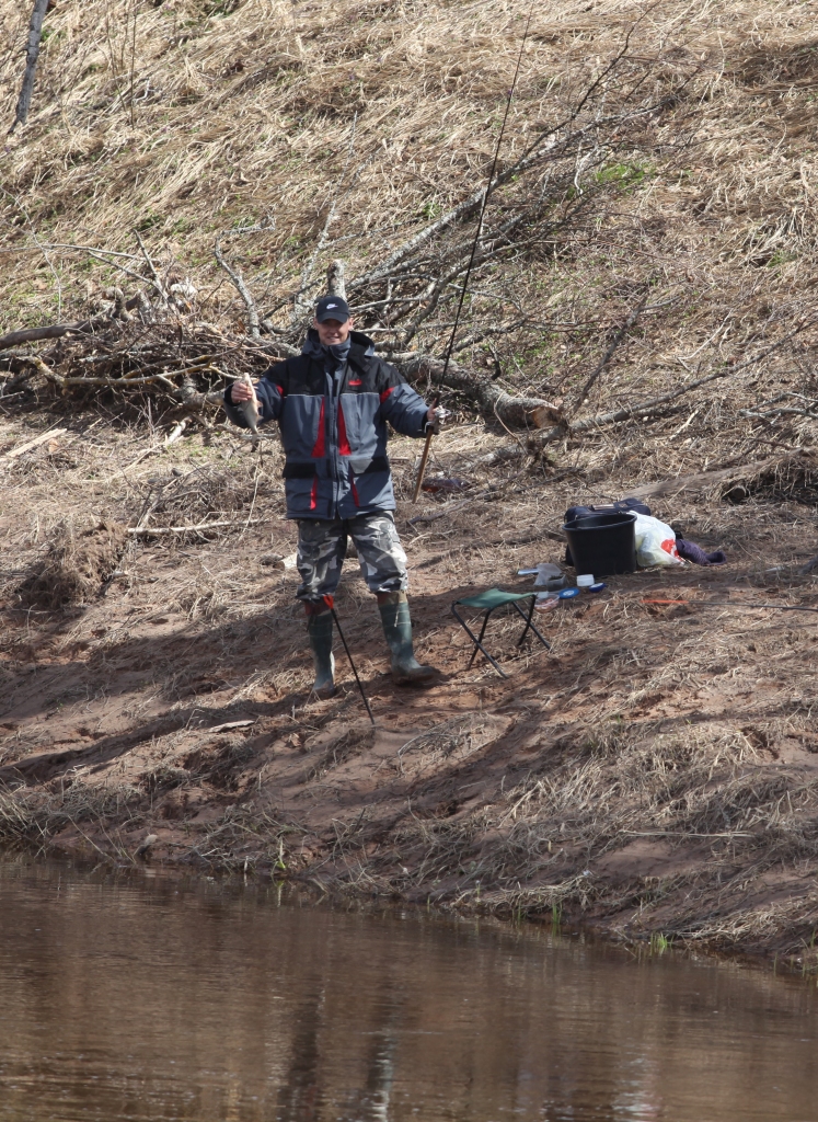 Makšķerniekam Intaram Zurkovam šajā pavasarī nācies samierināties ar skaitliski nelielu vimbu lomu, taču ir bijuši gadi, kad noķertas pat 55 vimbas sezonā.	
Autors: no “Dzirksteles” arhīva