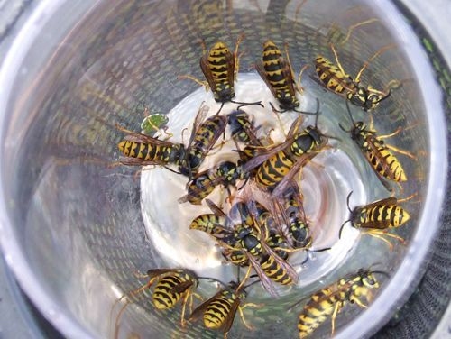 Autors: ilustratīvs