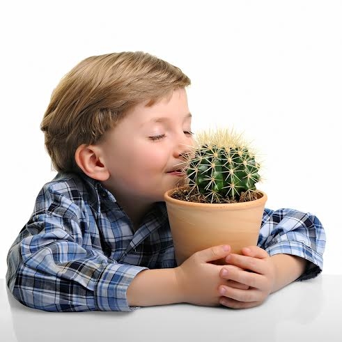 Autors: Publicitātes 