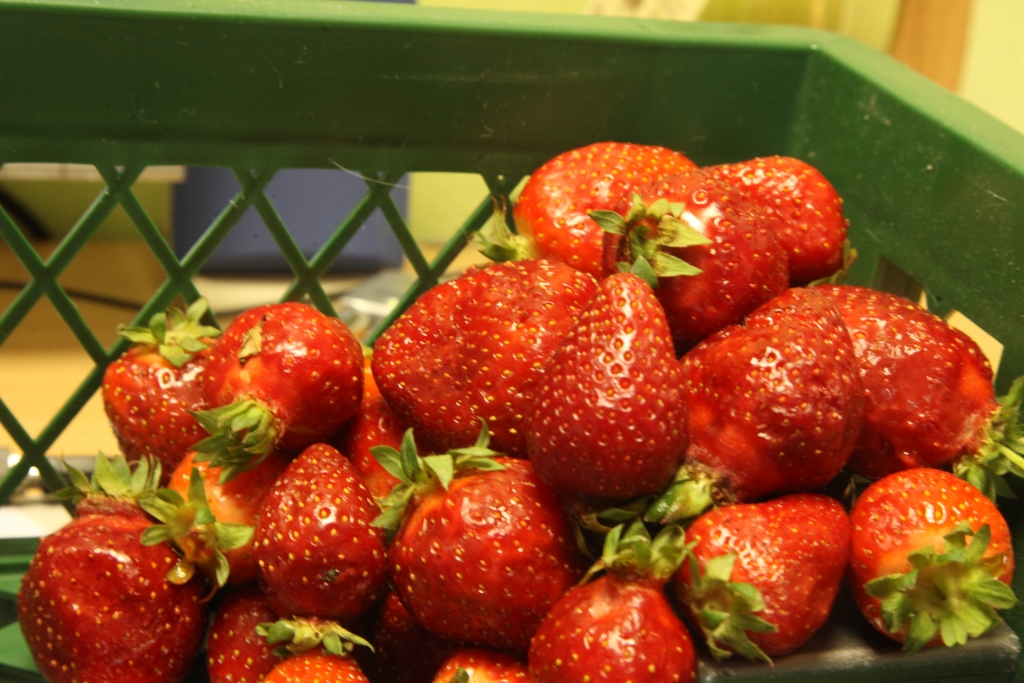 Autors: Gatis Bogdanovs