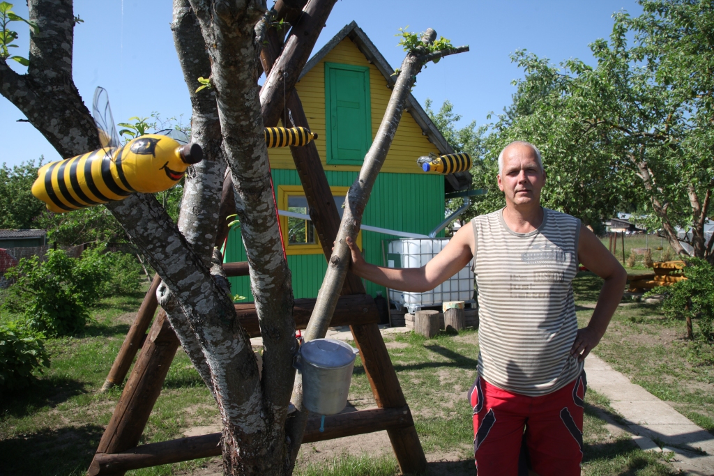 “Lai varētu sākt iekopt šo dārzu, vispirms visu dienu strādāju tikai ar trimeri. Tad vairāku mēnešu laikā pamazām aizvedu piecpadsmit gadu laikā te sakrātās mazās flīzes vēl no padomju gadiem. Nojaucu arī veco žāvētavu, kam bija izraudzīta neīstā vieta. Celšu to no jauna, tikai citviet. Turpināšu cīnīties arī ar gliemežiem un kurmjiem,” saka dārza saimnieks Astrīds Birkāns. 	
Autors: Gatis Bogdanovs