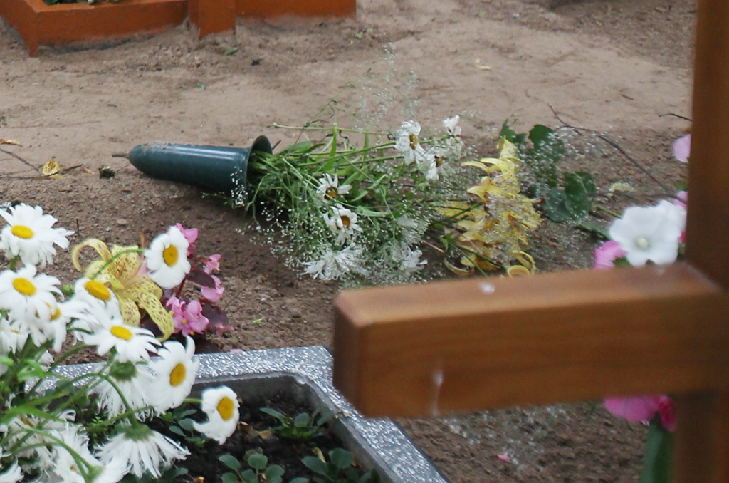 Autors: Ilustratīvs foto