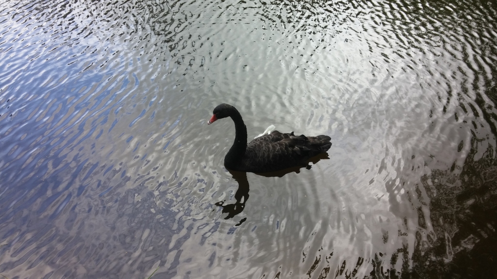 Autors: Tamāra Ulase