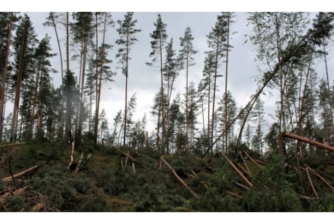 Autors: Ilustratīvs foto