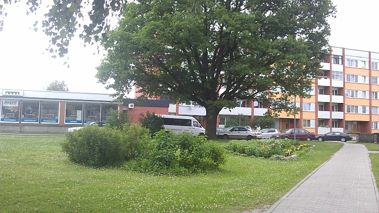 Autors: www.gulbene.lv