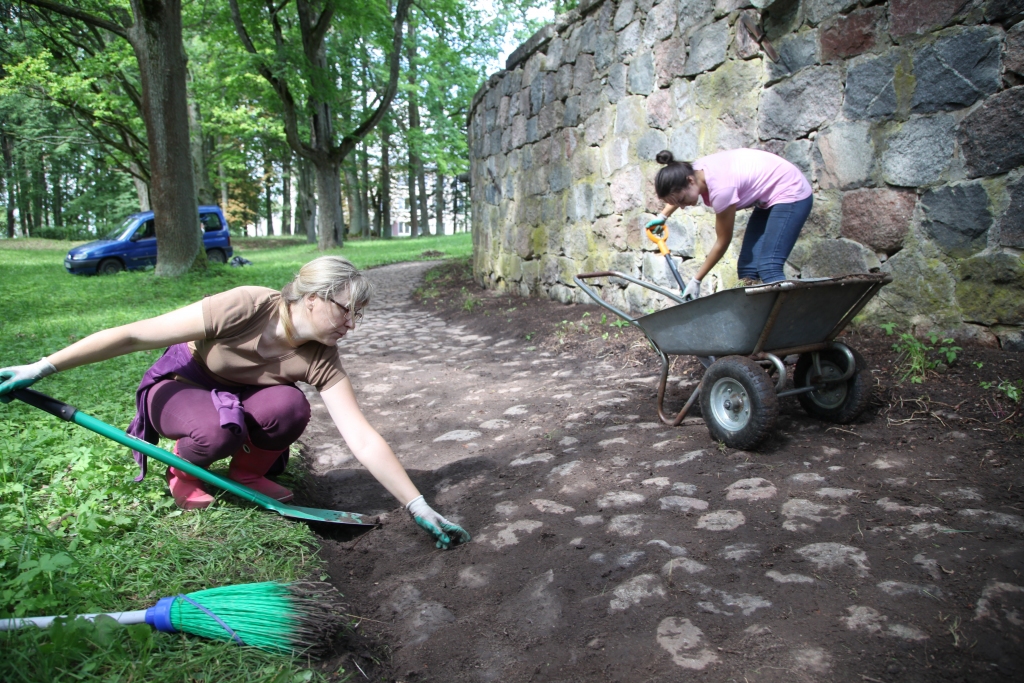 Jaungulbenieši cītīgi gatavojas novada svētkiem. Tautas nama mākslinieciskās daļas vadītāja Dace Stūrīte (no labās) kopā ar savu brīvprātīgo palīdzi Diniju Lauri no kultūrslāņa atbrīvo no laukakmeņiem veidoto taku, kas ved gar Jaungulbenes pils aizmugurējās mūra sienas ārpusi. Meitenes tādējādi vēlas atklāt cilvēkiem šo gadsimta vērtību. 
Autors: Gatis Bogdanovs