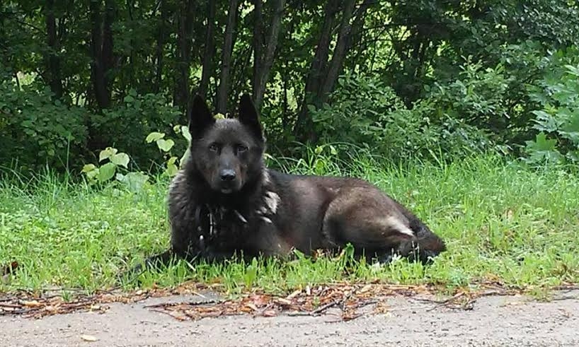 Autors: no personiskā arhīva