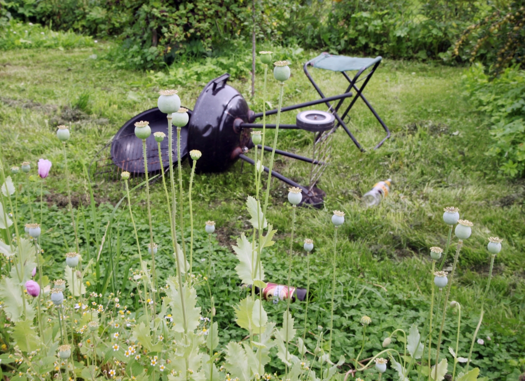 Autors: Gatis Bogdanovs