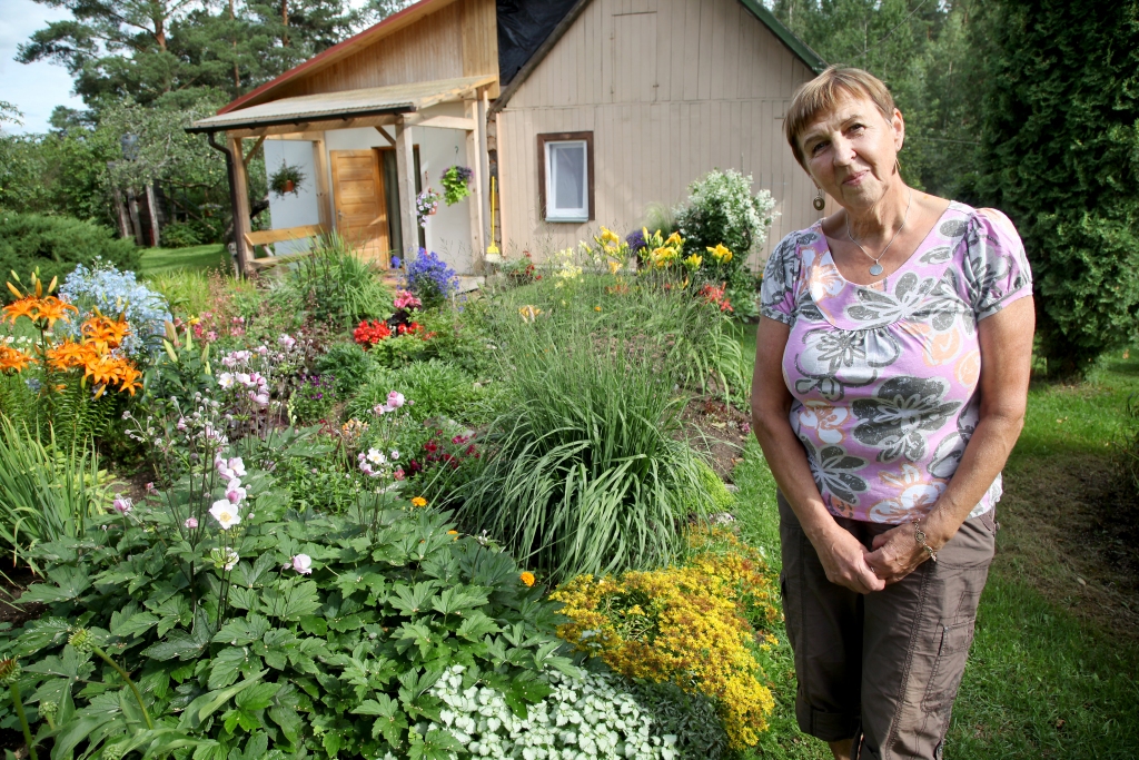 Iegriežoties ceļā, kas ved uz Lejasciema pagasta “Irbenājiem”, skatienu jau pa gabalu piesaista dekoratīvo augu stādījumi un puķu dobes. Puķes ir “Irbenāju” saimnieces Anitas Biezbārdes mīlestība. “Katru gadu kāds augs dobē ziemā izsalst, kādam saknes nograuž ūdensžurkas, bet tad ir atkal brīva vieta, lai stādītu kaut ko jaunu. Pagājušajā ziemā dārzā izsala zemenes. Arī rozes visas pagalam. Tomēr pavasarī atkal nopirku piecas jaunas rozes. “Irbenājos” bieži tiekas pagasta puķu draugu grupa. Tad Anita ar ziedu mīļotajām dalās savā pieredzē un kāri tver citu pieredzi. “Es tā vairāk paļaujos uz aci. Nebaidos arī no puķu pārstādīšanas. Tiesa, šķirņu nosaukumus gan visām neatminos,” atzīstas Anita. 
Autors: Gatis Bogdanovs