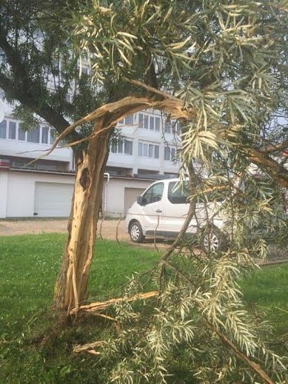 Autors: Santa Kundrate