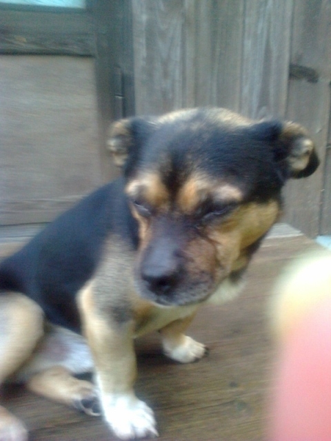 Autors: no privātā arhīva