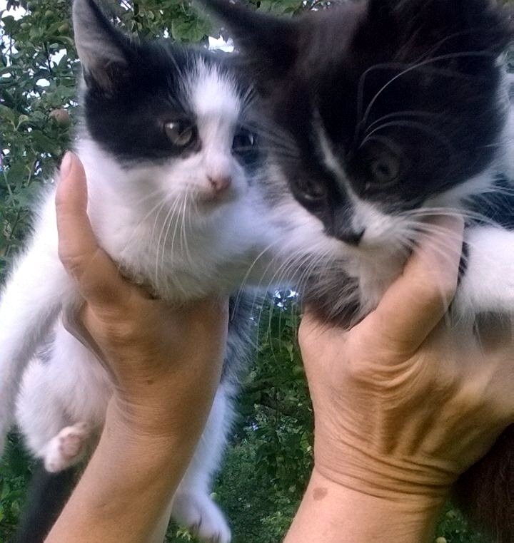 Autors: no personiskā arhīva