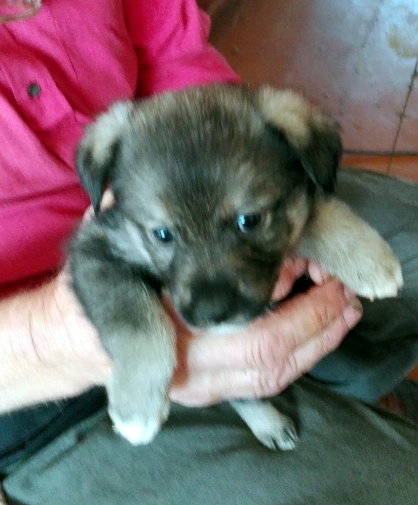 Autors: no privāta arhīva