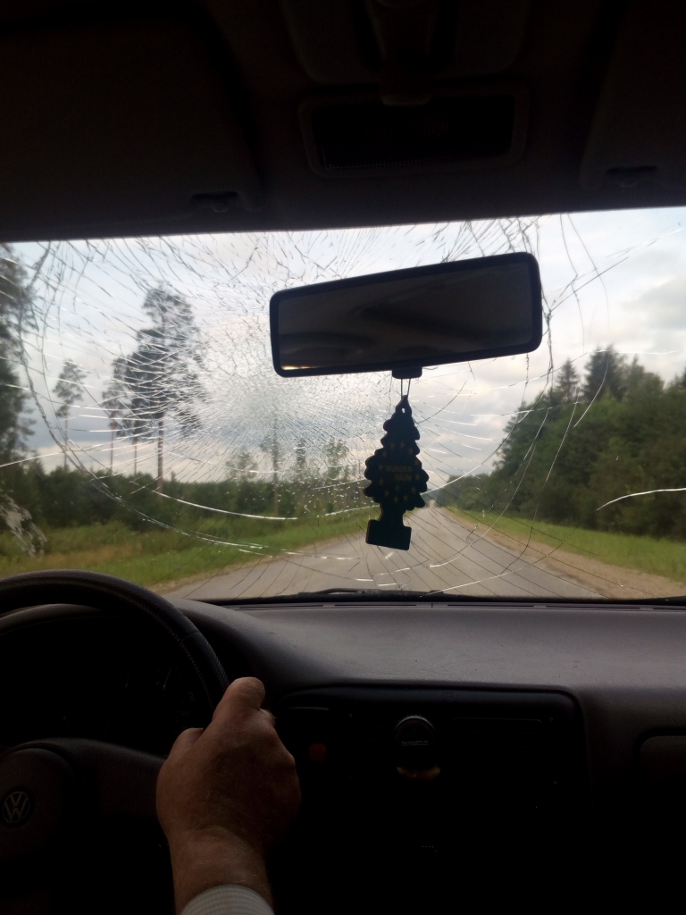 Sasists stikls, drebošas sirdis un bažas par stārķi, kura dēļ tas viss noticis. Vai viņš rudenī spēs aizlidot uz siltajām zemēm? 	
Autors: Diāna Odumiņa