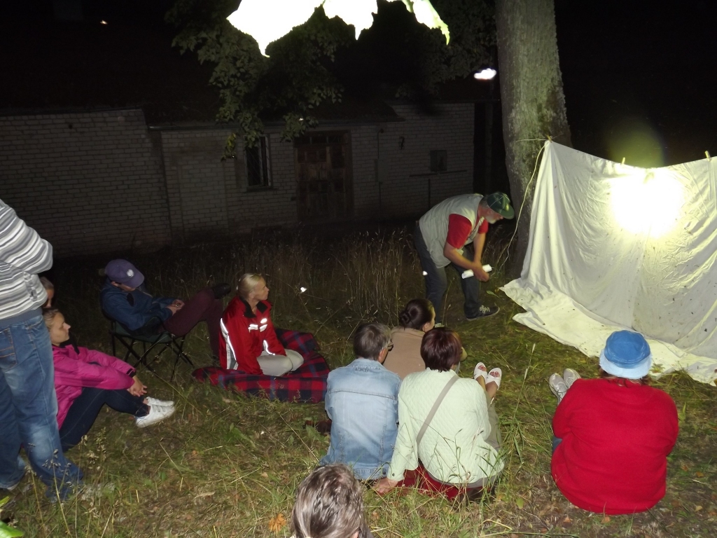 Tiek izgaismots balts audums, lai interesentiem būtu iespējams vislabāk apskatīt un nofotografēt tur salidojušos naktstauriņus. 	
Autors: no personiskā arhīva