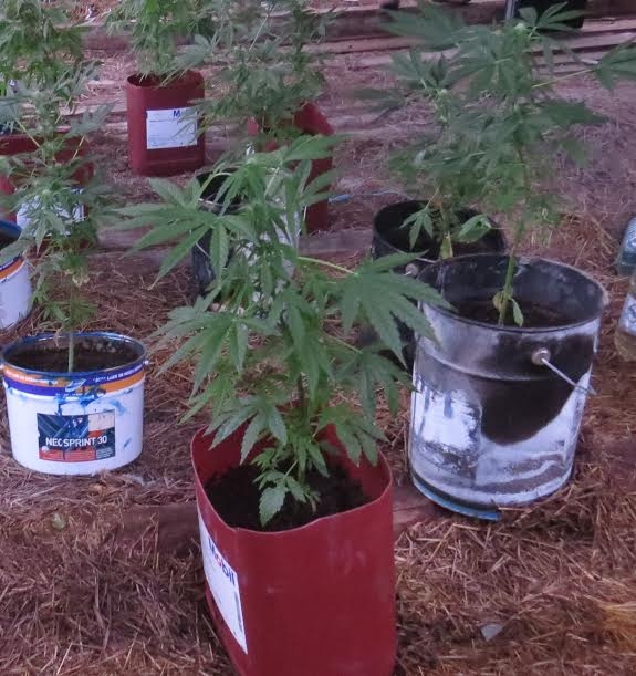 Autors: no policijas arhīva