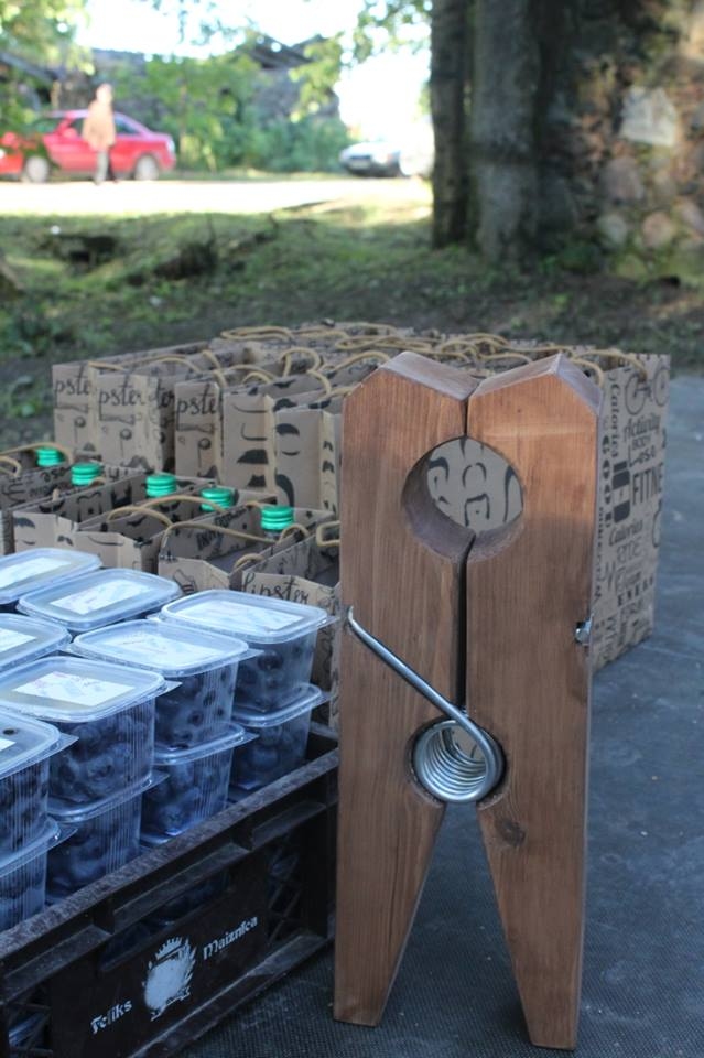 Autors: facebook.com (Darbs ar jaunatni Gulbenes novadā)