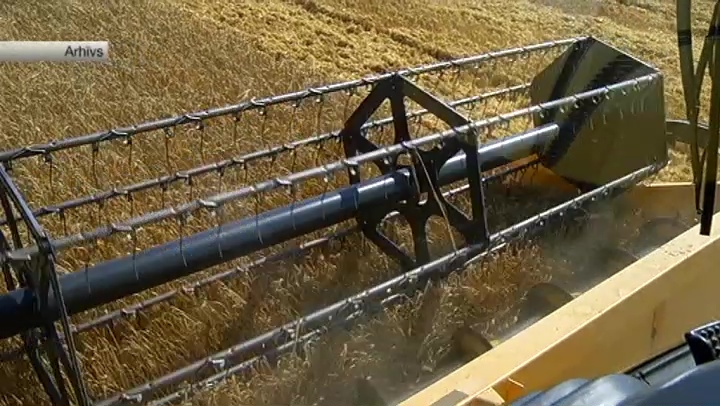 Autors: www.skaties.lv