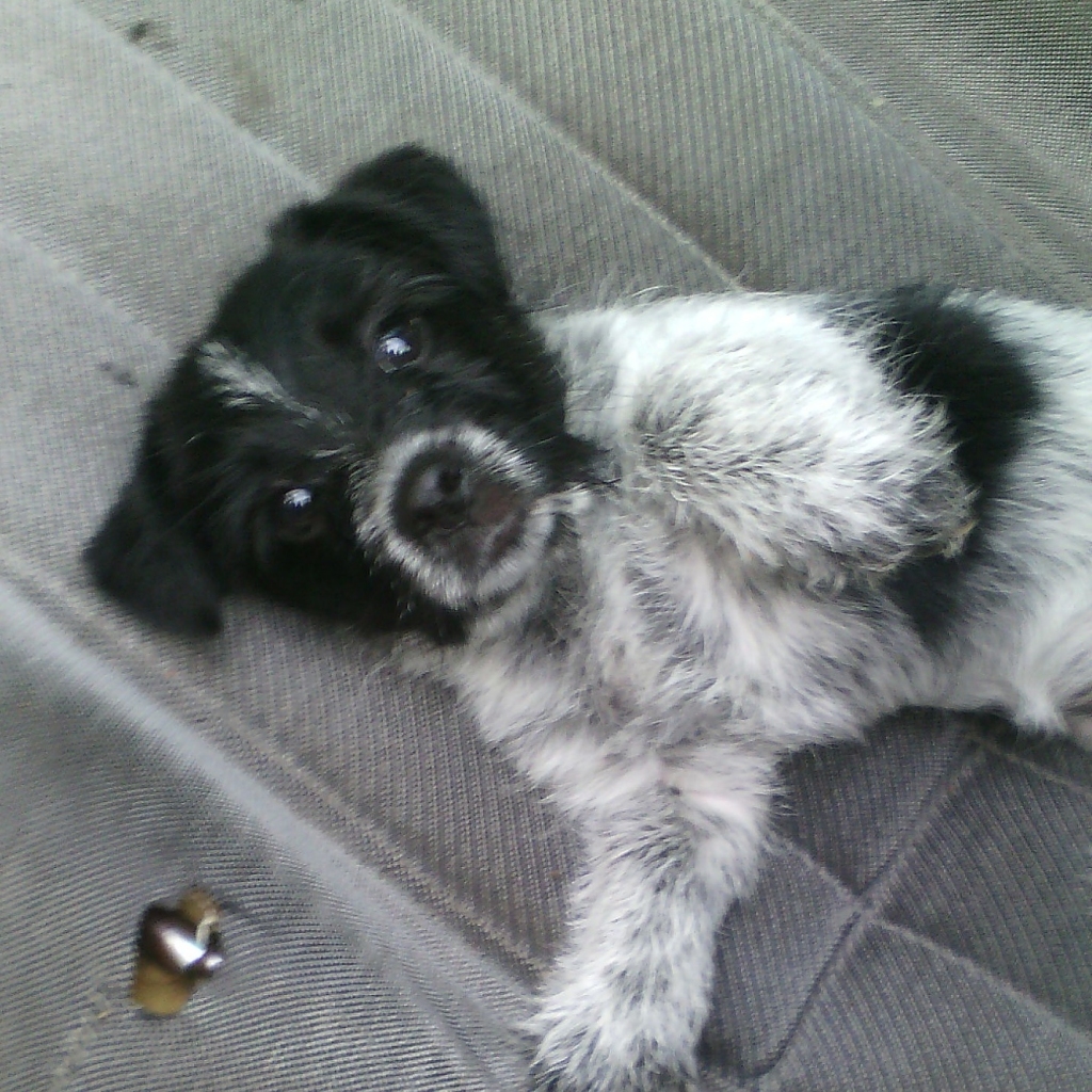 Autors: no personiskā arhīva