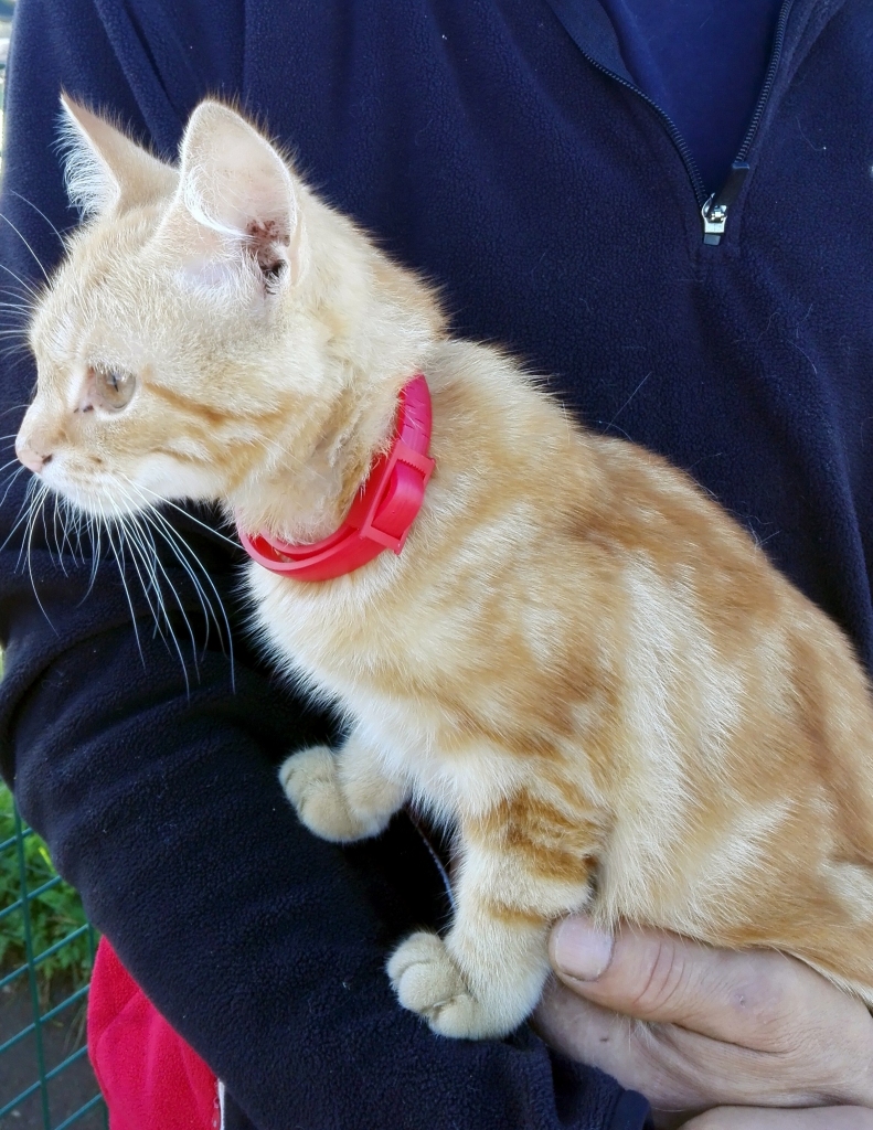 Autors: no personiskā arhīva