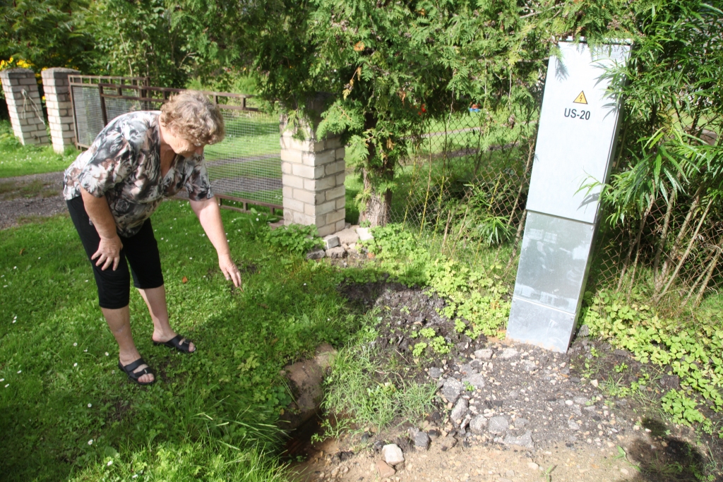 Pļavu ielas 19.mājas iedzīvotāja Mārīte Zatumanova ir nobažījusies, vai tiks sakārtota sadales skapja apkārtne. Viņu uztrauc nelielā bedre, ko darbu veicēji solījuši aizbērt. 
Autors:  Gatis Bogdanovs