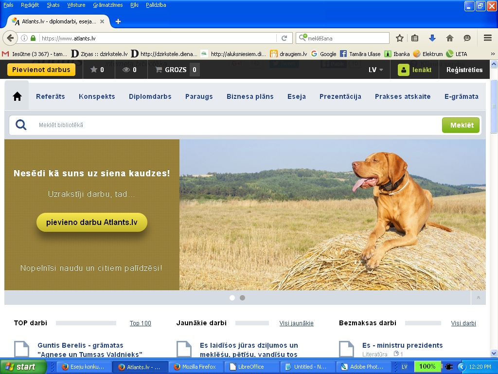 Aluksniesiem.lv raksta attēla aizvietotājs
