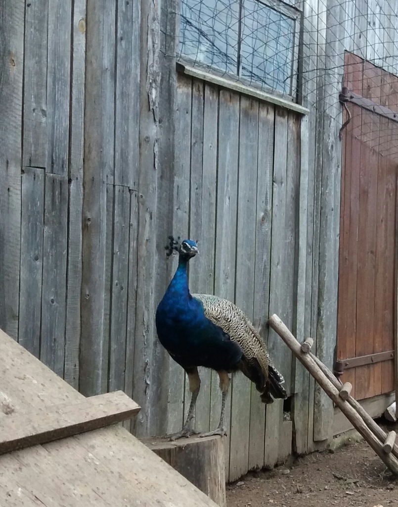 Autors: no personiskā arhīva