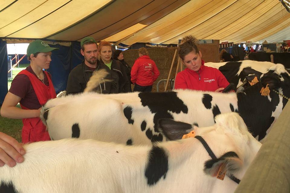 Foto no Latvijas Holšteinas šķirnes lopu audzētāju asociācijas profila https://www.facebook.com/holsteingovis/
Autors: facebook.com
