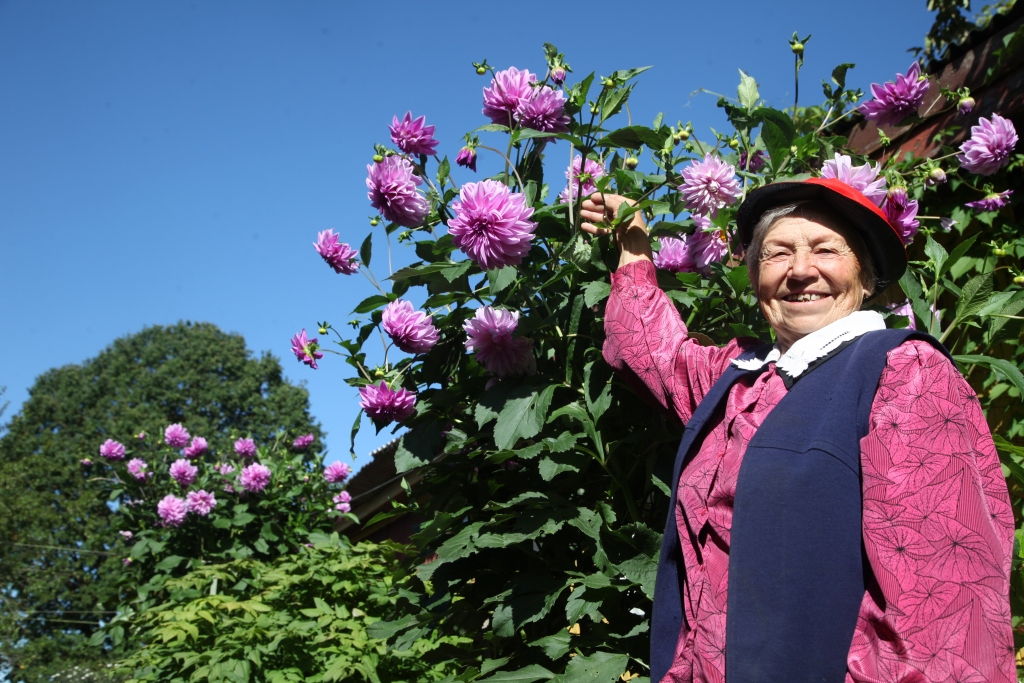 Astoņdesmit četrus gadus vecā Elga Buliņa, kura saimnieko Zvaigžņu ielas 19. namā, katru dienu dodas pie dālijām, lai ar tām mērotos augumā.
Autors: Gatis Bogdanovs