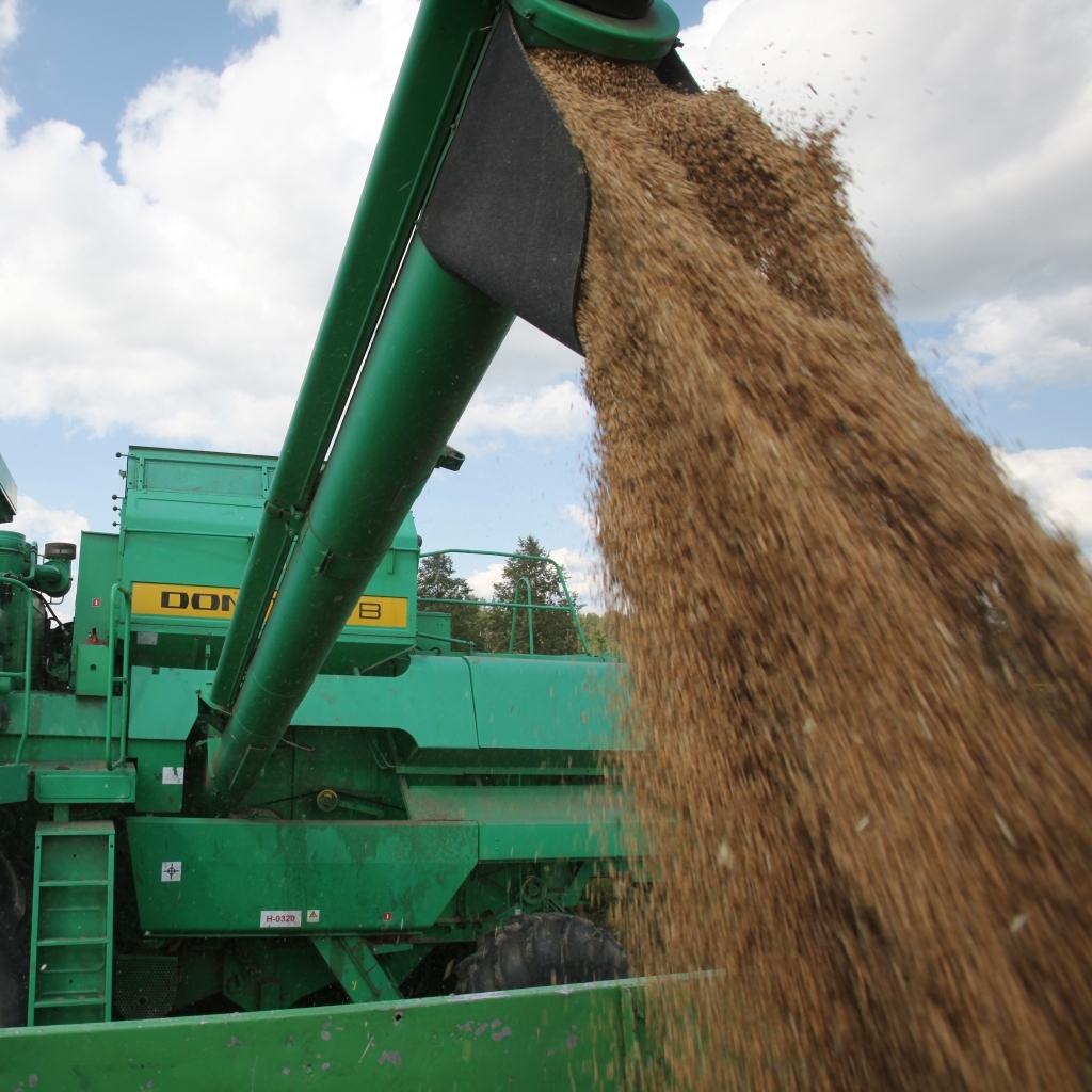 Autors: Gatis Bogdanovs