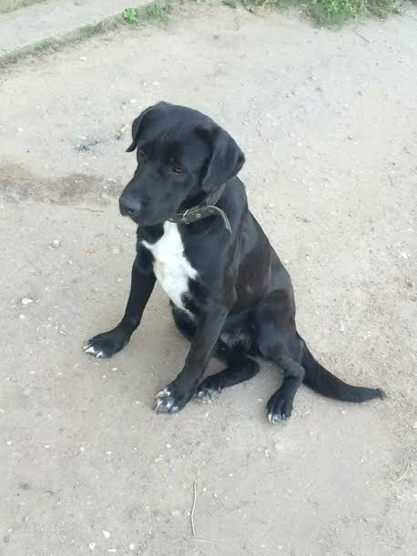 Autors: no personiskā arhīva